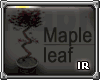 [IR] Maple leaf
