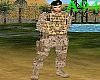 soldier spanish desert F