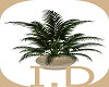 I.D.BONNE ANNEE PLANT.1
