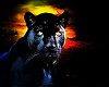 Panther Picture