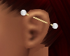 *TJ* Ear Piercing L G S