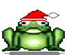 Christmas frog