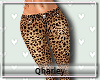 [Q]Pants Onci-XXL