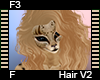 F3 Hair F V2