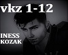 INESS- KOZAK