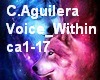 The_Voice_Within