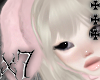 bunny ʚଓ