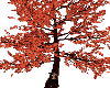 Fall Animated Kiss Tree