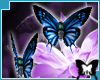 2 Saphire Butterflies