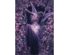 Rose Angel Fairy