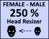 Head Scaler 250%