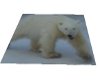 {AND} Polar Bear Rug