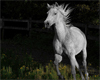 Rideon Ghost Horse