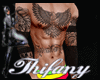TH * MASTER  FULL BODY
