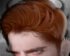 Hair Mason - Ginger