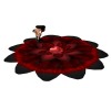 Red/Black Lotus Flower