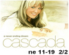 cascada 2/2