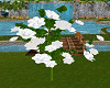 animated white roses