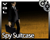 VGL Spy Suitcase