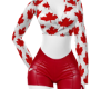Canada Outfit -M