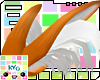 [Kyo] orange Skunk Ears