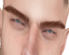 F. Brows Ginger
