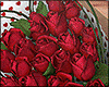 ♥ VDay Roses