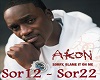 Akon Sorry blame it on m