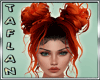 T* Edelyn Fire