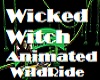 Wicked Witch Wild Ride