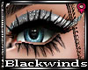 BW|Silver Glitt Eyeliner