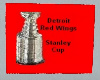 Stanley Cup Rug