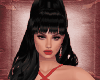 Bundle Valentine