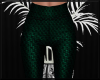 Emerald Green Pants ~