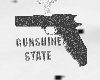 GUNSHINE STATE FLA.