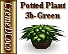 CDC-Blackfoot-Plant3bGrn