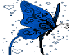 blue butterfly 2