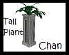 Tall Column Plant