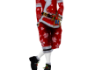 Santa 2026
