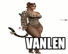 LV** BODY Cat