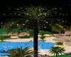 palm light animation 