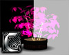 C - Plant v9 pink