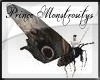 {PM} Ridable Moth