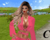 Rose  Dress Ouitfit