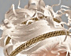 Asteria GreeK Platinum B