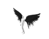 devil wings black