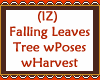 Fall Leaves Tree wPoses