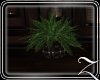 ~Z~Immortal Small Plante