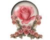 Rose Globe