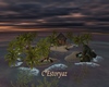 C* Estoryaz